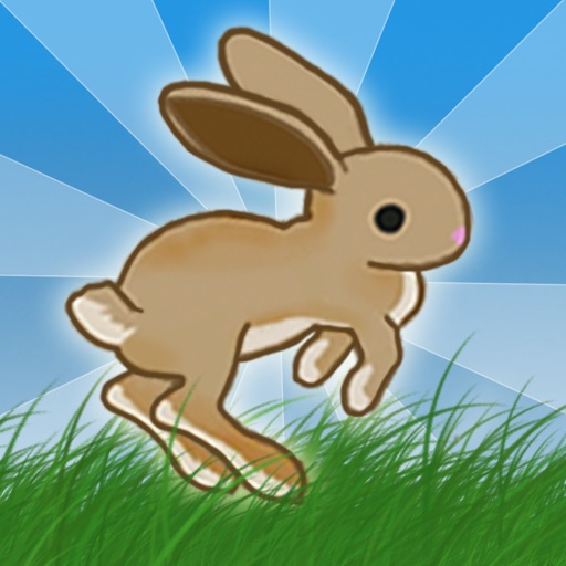 Rabbit Run The Game iOS App