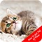 How To Get Rid Of Fleas Guide is a app that includes some very useful information on getting rid of fleas