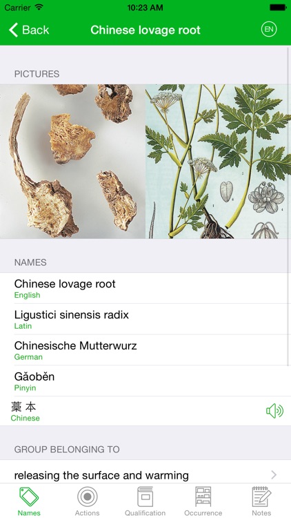 TCM Herbs