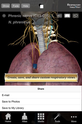 Respiratory Anatomy Atlas: Essential Reference for Students and Healthcare Professionals screenshot 3