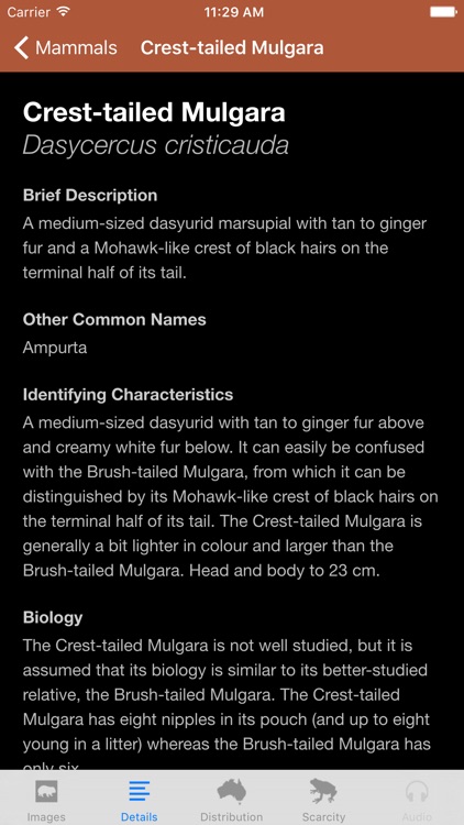 Field Guide to South Australian Fauna screenshot-3