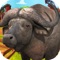 Casino Slots of the Mighty Buffalo Bonanza - Run and Collect the Coin Fun Game