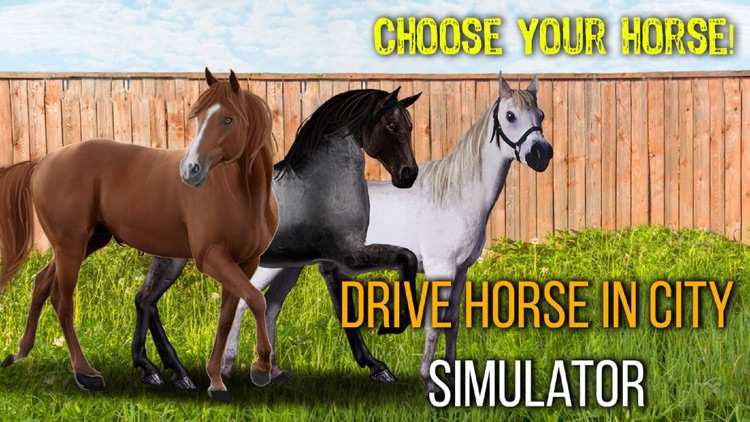 Drive Horse In City Simulator