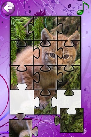 Red Panda Puzzles Jigsaws Games with Wild Animals in the Zoo HD screenshot 4