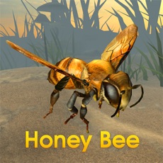 Activities of Honey Bee Simulator