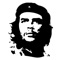 A multimedia application dedicated to Ernesto Che Guevara featuring: