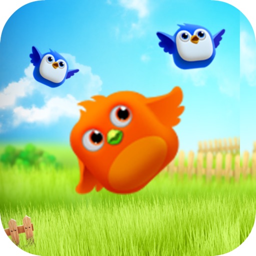 Crazy Taptap the Bird Smash iOS App