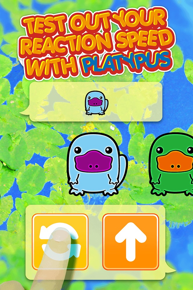 Platypus Dojo - Best Animals Pocket Games Play After School ( Fun For All Class Student ) screenshot 2