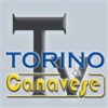 Torino e Canavese TV