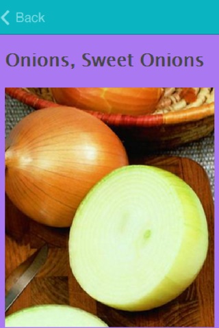 Onion Recipes. screenshot 2