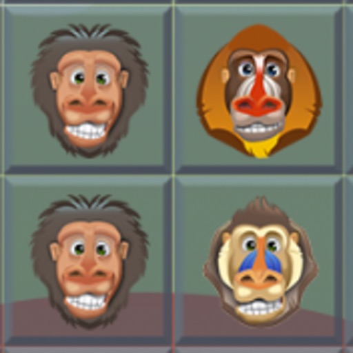 A Baboon Match Bloom icon