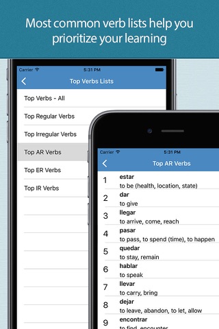 Spanish Verbs - Linguasorb screenshot 4