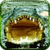 American Alligator Swamp Pro - Black Water Swampy Crocodile Hunter Attack