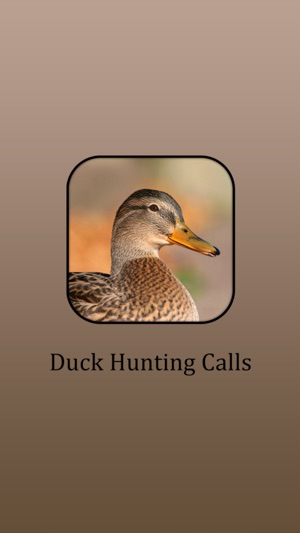 Duck Hunting Calls!