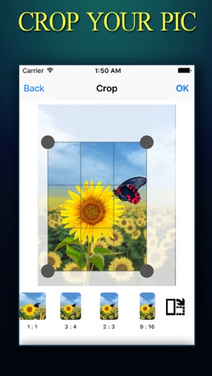 CROP ++ Photo Crop Editor With Instant Crop and Resize Tool(圖2)-速報App