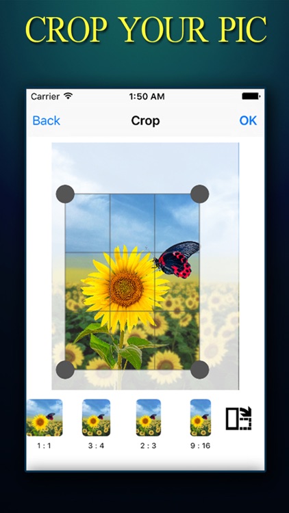 CROP ++ Photo Crop Editor With Instant Crop and Resize Tool