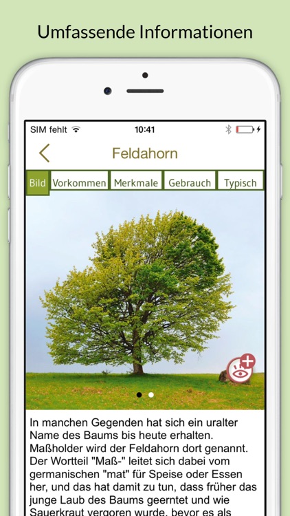 Bäume & Sträucher bestimmen – entdecken Sie die Natur und erkennen Sie welche Pflanzen, Blätter und Hölzer Sie umgeben
