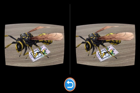 AR Insects(Augmented Reality + Cardboard) screenshot 2