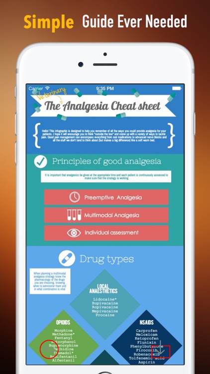 Veterinary Glossary and Cheatsheet: Study Guide and Courses