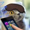 Sleep Cat Music Joke - a game simulator hypnosis music that lulls cat and cats to sleep in fun