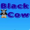 Black Cow