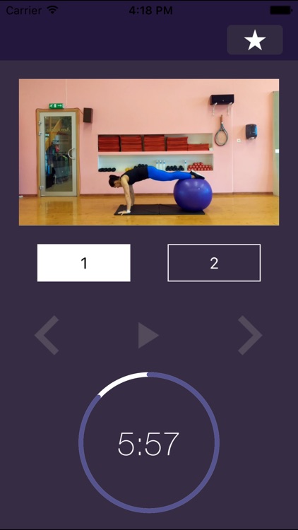 Stability Ball Exercises – Swiss Exercise Program for Strength and Physically Strong Gym Body screenshot-4