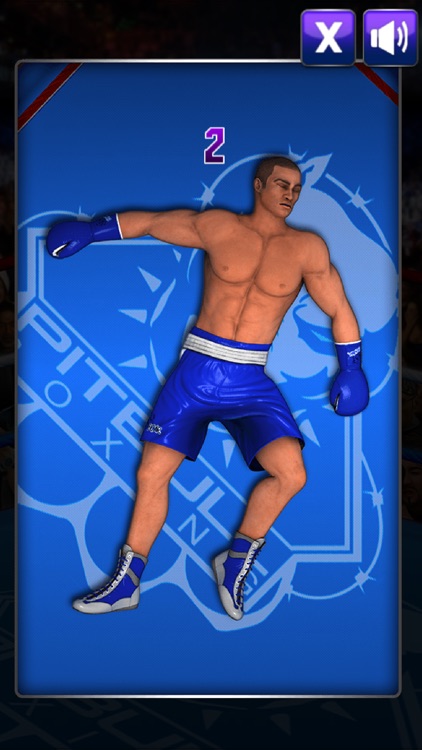 Ultimate Boxing screenshot-3