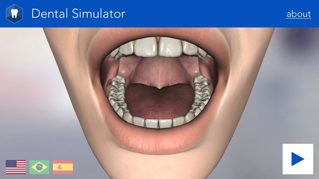 Dental Simulator