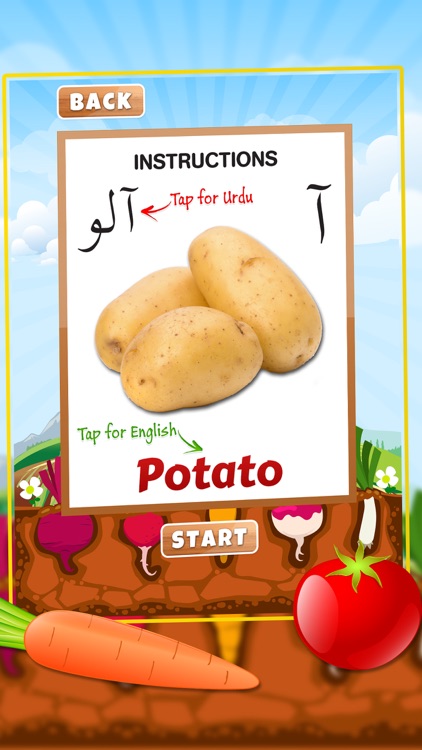 Urdu Qaida Vegetable Learning Urdu - Kids Educational Book