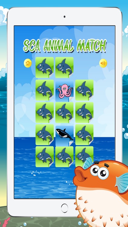 Mix and Matching Sea Animals Game for Kids Free