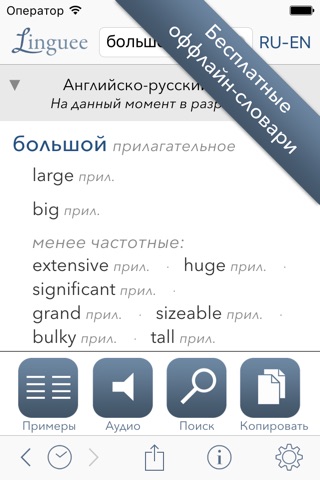 Dictionary Linguee screenshot 2