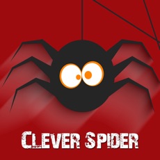 Activities of Clever Spider Jump