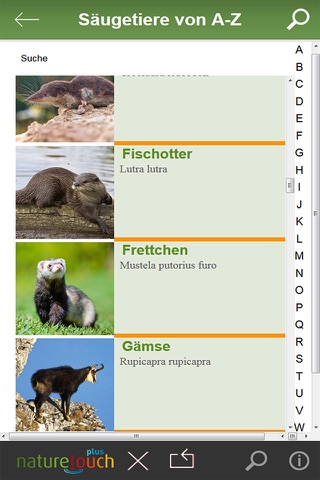 Hase, Igel, Fuchs und Wolf bestimmen, Säugetiere Mitteleuropas screenshot 3