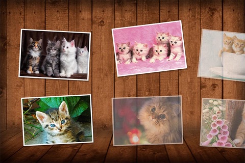 Cats Puzzle Game Like Real screenshot 2