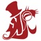 The VanCougar is the official app for the student newspaper of Washington State University Vancouver