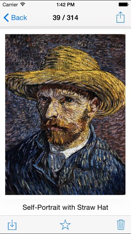Van Gogh 314 Paintings HD Ad-free - Famous paintings of Van Gogh screenshot-3