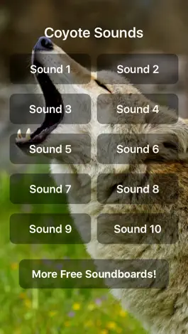 Game screenshot Coyote Sounds! mod apk