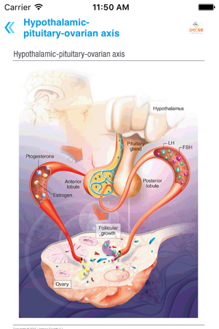 Mini Atlas Gynaecology screenshot 2