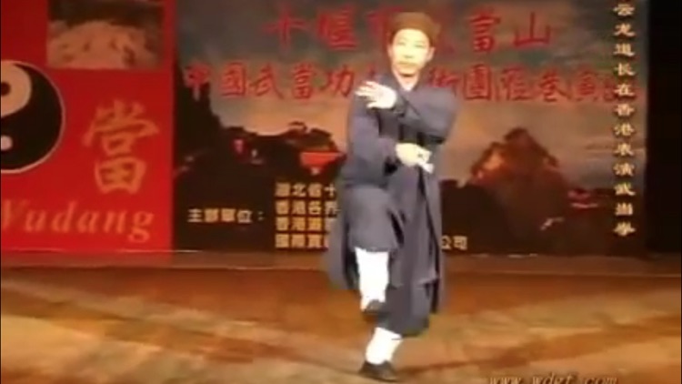 Teach Yourself Tai Chi screenshot-4