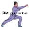 Are you looking for Karate Training