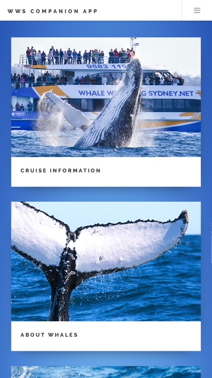 Whale App