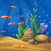 Fish World Match Animals - Fishing Family for Match