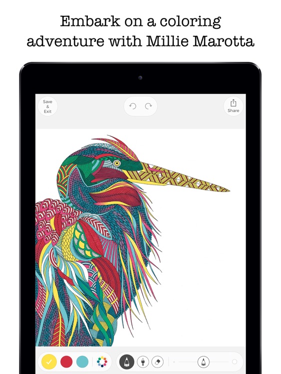 Millie Marotta’s Coloring Adventures screenshot-0