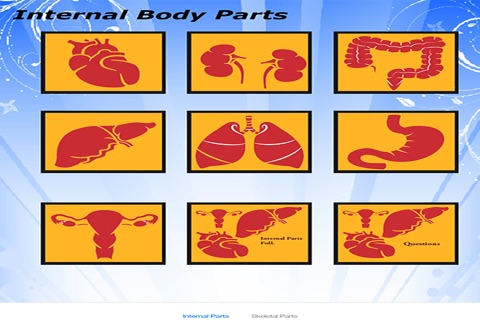 Body Parts Skeletal & Internal screenshot 4