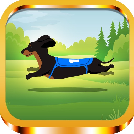Wiener Dog Derby iOS App