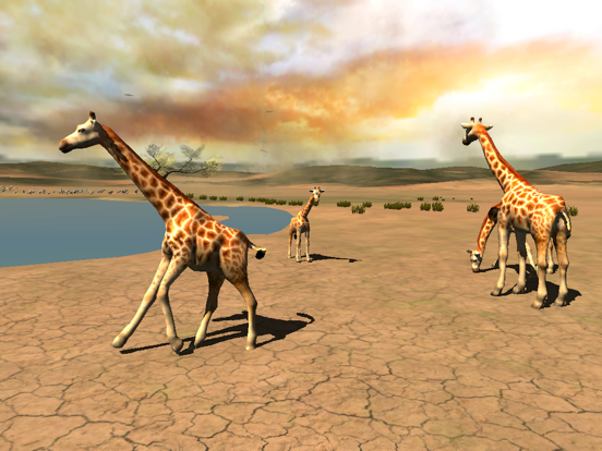 Africa Wild Free на iPad