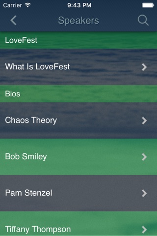 LoveFestApp screenshot 2