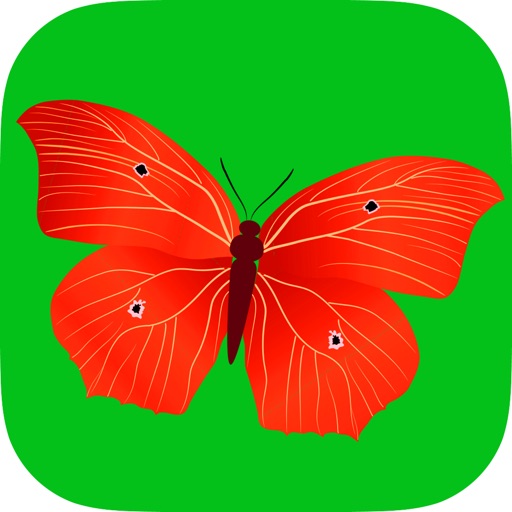 Butterfly Puzzle Game for toddlers HD Lite Free - Children's Educational Jigsaw Puzzles games for little kids boys and girls age 3 + icon