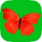 Butterfly Puzzle Game for toddlers HD Lite Free - Children's Educational Jigsaw Puzzles games for little kids boys and girls age 3 +