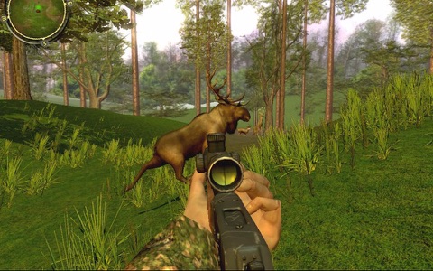 Wild Hunt Adventures 3D - Hunting Simulation screenshot 2